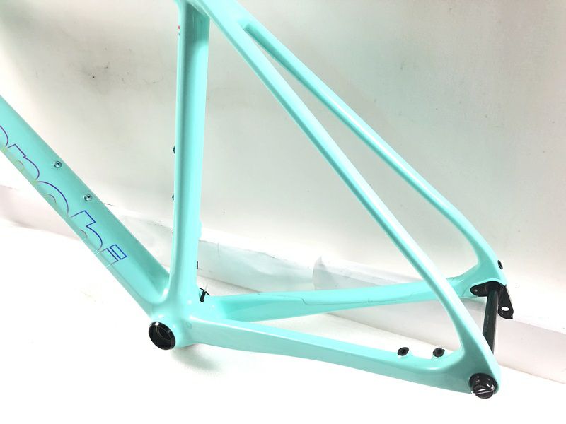 ビアンキ BIANCHI スペシャリッシマ SPECIALISSIMA DISC フレーム