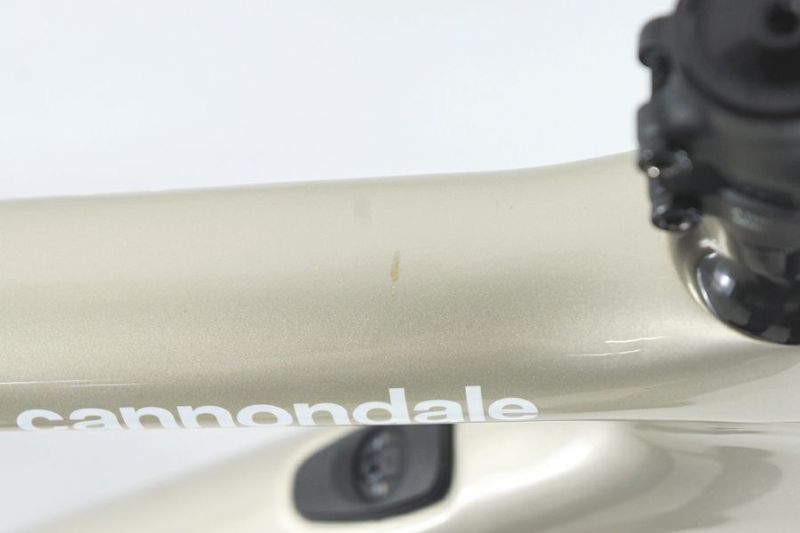 目指したのは真のエンデュランスマシーン キャノンデール新型