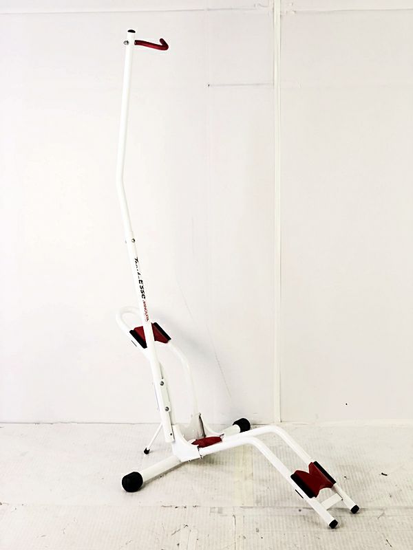 ミノウラ MINOURA タンチョウ エッセ Tancho E'sse DS-2100 縦置き・横